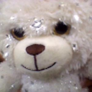 Meet your Posher, Maegan